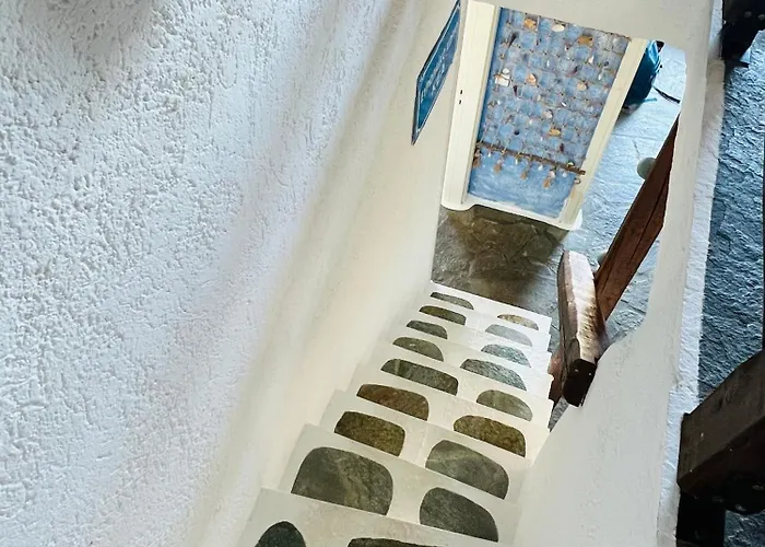 Pasithea Sunset Kea *