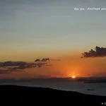Pasithea Sunset Kea *