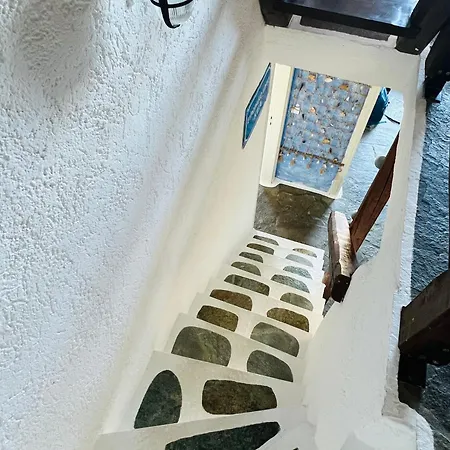 Pasithea Sunset Kea *