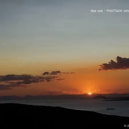 Pasithea Sunset Kea *