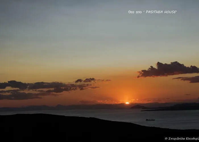 Pasithea Sunset Kea *